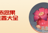 原神赤念果在哪里采摘-72个赤念果采集路线一览