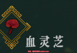 暖雪血灵芝适合哪个职业-血灵芝作用及圣物效果