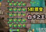 植物大战僵尸2哪个植物最厉害 猕猴桃登顶榜首