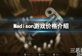 恐怖游戏麦迪逊多少钱(Madison游戏最新售价)