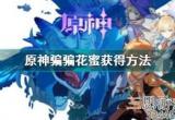 原神骗骗花蜜怎么获得(亲测骗骗花蜜速刷路线分享)