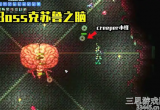 泰拉瑞亚克苏鲁之脑新手怎么打-低配置boss打法攻略