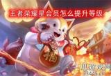 王者荣耀星会员怎么提升等级(星会员等级提升机制)
