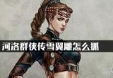 河洛群侠传雪翼雕怎么抓-雪翼雕快速抓捕技巧