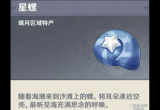 原神星螺采集点在哪 分布图采集路线最优推荐