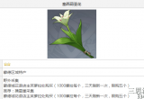 原神塞西莉亚花采集地点-塞西莉亚所有花采集地点汇总