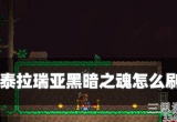泰拉瑞亚黑暗之魂怎么刷-黑暗之魂作用及获取方法