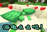 我的世界海龟蛋怎么孵化-叫你海龟蛋作用与孵化技巧