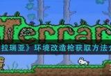泰拉瑞亚环境改造枪在哪买-境改造枪获取途径一览