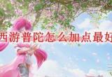 梦幻西游普陀山技能怎么加最好-普陀山技能加点2022