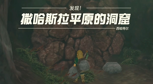 撒哈斯拉平原鸟望台怎么开  塞尔达撒哈斯拉平原鸟望台开启方法[多图]图片6