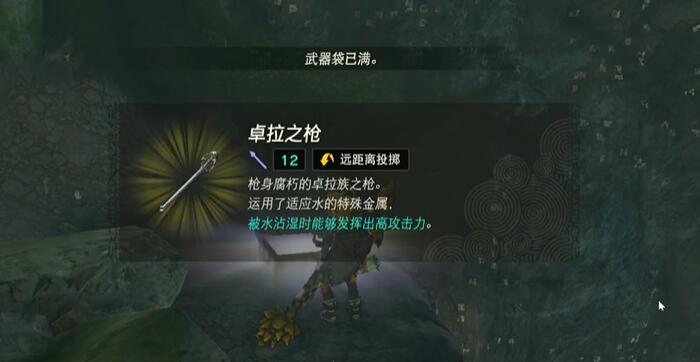 王国之泪卓拉族的荣誉光鱗之枪任务攻略 塞尔达卓拉族的荣誉光鱗之枪怎么过[多图]图片5