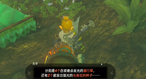王国之泪克洛格族的布料怎么获得 塞尔达克洛格族的布料在哪里弄[多图]图片5