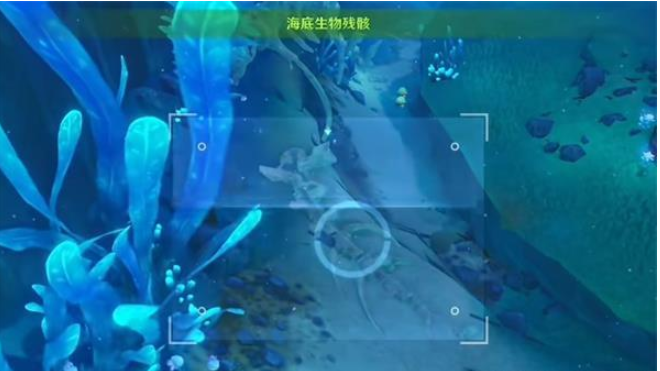 原神水下沉落物在哪 水下沉落物位置分享[多图]图片4