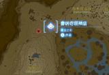 塞尔达王国之泪鲁纳奇塔神庙攻略[图]