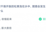 蚂蚁庄园今日答案6.3日[图]